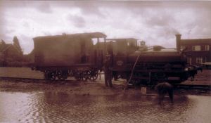 Barclay taking water from a puddle