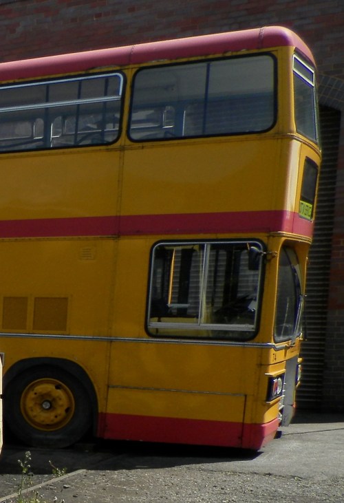 Pic by Godfrey Hucker 