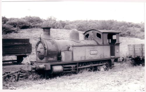 05044 No.7 Birch 2-4-0T Bt Rawnsley 1888 C & R  Past its best