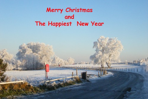 merry-christmas-2013